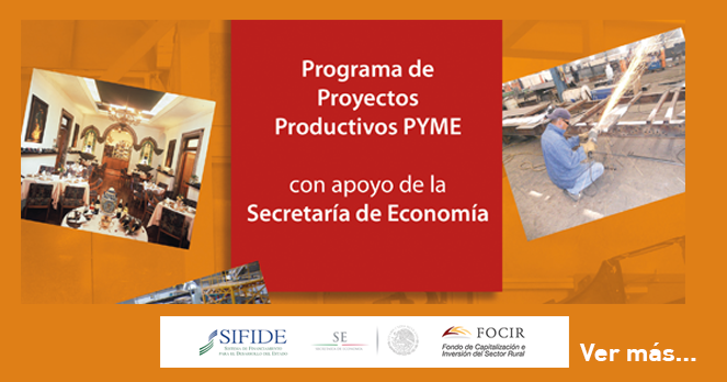 Proyectos Productivos PyME